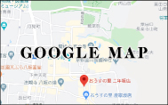 googlemap